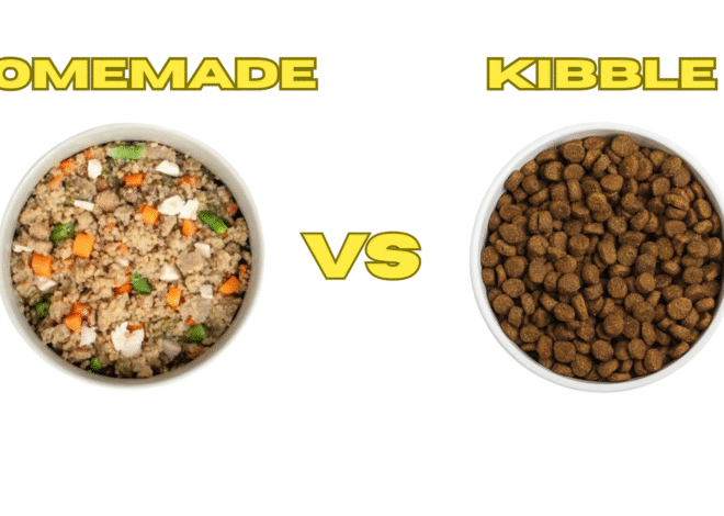 Homemade Dog Food vs Kibble: 2025 Expert Guide