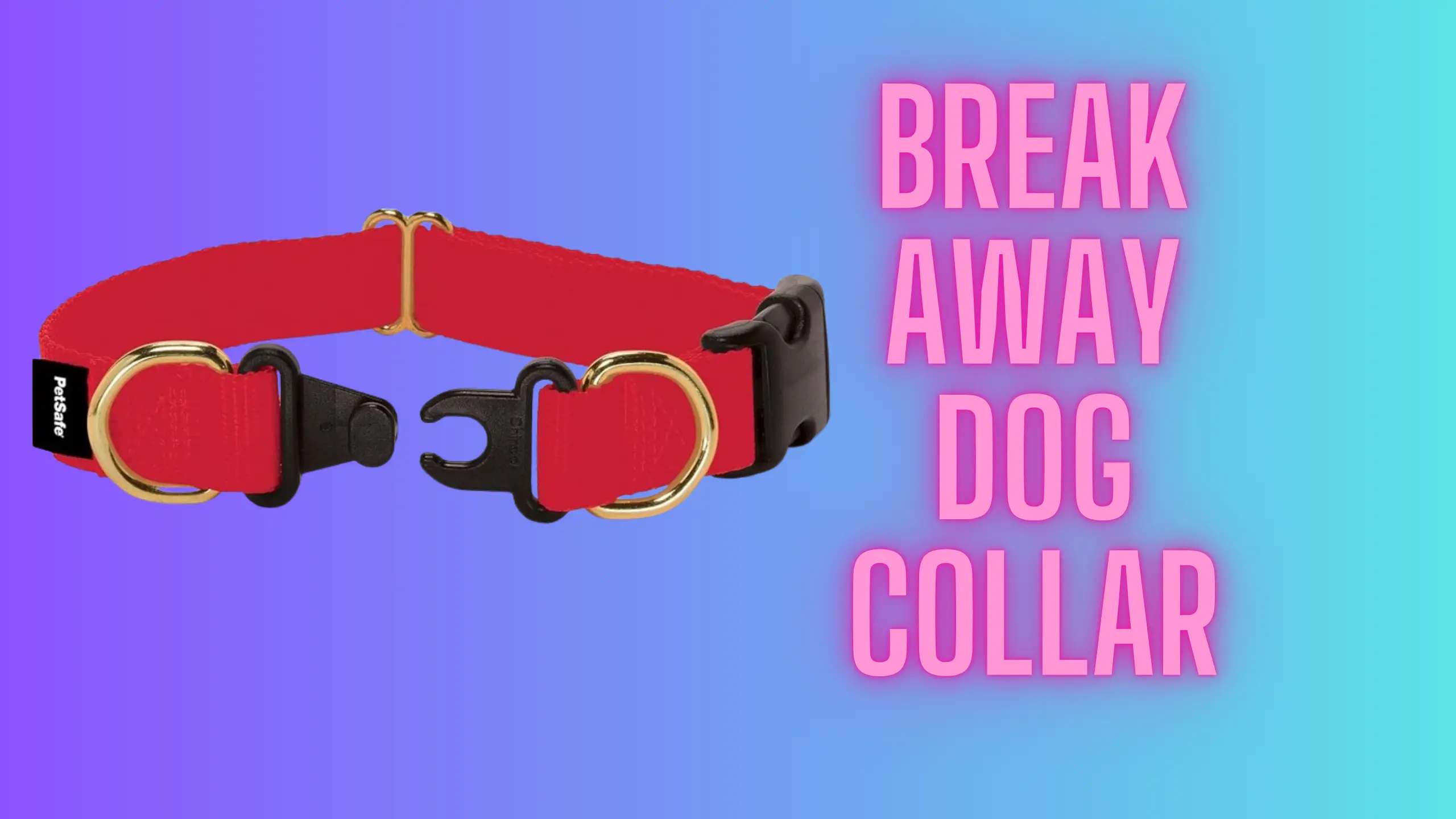 Why Every Dog Owner Should Consider a Break Away Collar