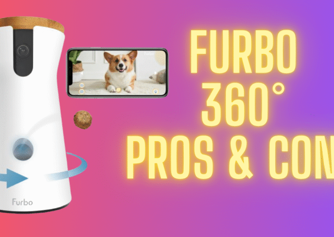 Furbo 360° Dog Camera: Is It Worth It?