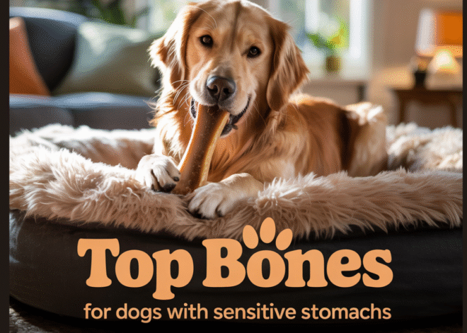 Bones for Dogs with Sensitive Stomachs: Top Picks for 2025