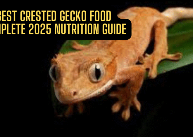 Best Crested Gecko Food: Complete 2025 Nutrition Guide