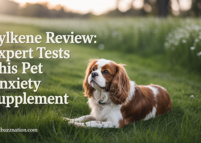 Zylkene Review: Expert Tests This Pet Anxiety Supplement