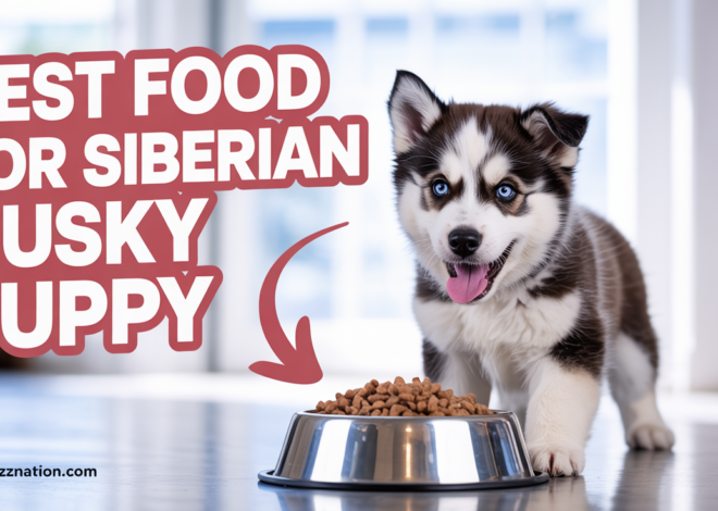 Best Food for Siberian Husky Puppy: Complete 2025 Guide