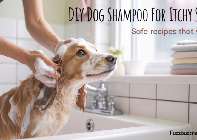 DIY Dog Shampoo for Itchy Skin: Safe Recipes That Work