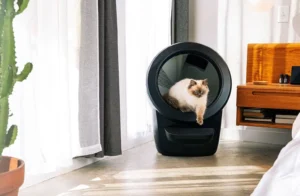 A fluffy cat with a cream-colored body and darker face, paws, and tail (likely a Himalayan or Ragdoll breed) is stepping out of a black Litter-Robot 4, an automatic self-cleaning litter box.

The device is sleek and circular with a modern design, placed in a bright room with white and gray curtains and a cactus in the corner.

There is a mid-century wooden nightstand with a few small items on it, giving the room a cozy, minimalist aesthetic.