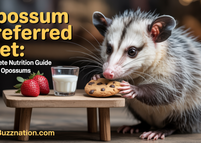 Opossum Preferred Diet: Complete Nutrition Guide for Pet Opossums