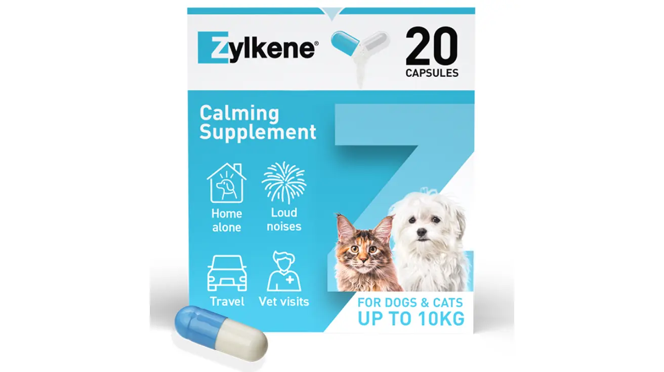 Zylkene Caps - Small Dog & Cat