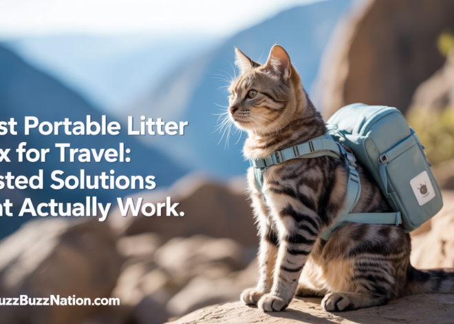Best Portable Litter Box for Travel: Tested Solutions That Actually Work