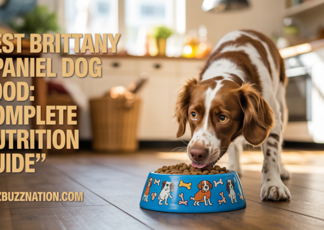 Best Brittany Spaniel Dog Food: Complete Nutrition Guide