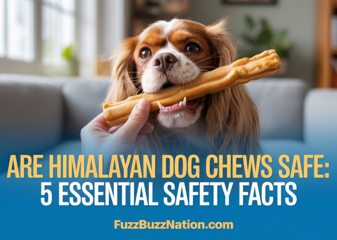 Are Himalayan Dog Chews Safe: 5 Essential Safety Facts