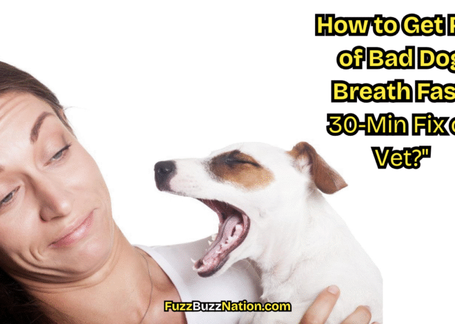 How to Get Rid of Bad Dog Breath Fast: 30-Min Fix or Vet?