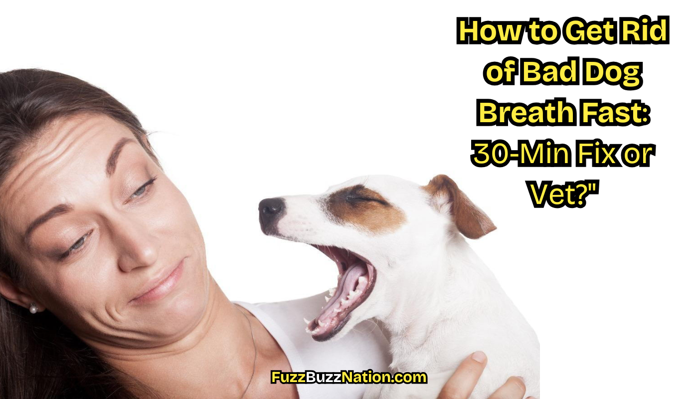 How to Get Rid of Bad Dog Breath Fast: 30-Min Fix or Vet?