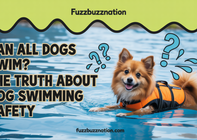 Can All Dogs Swim? The Truth About Dog Swimming Safety