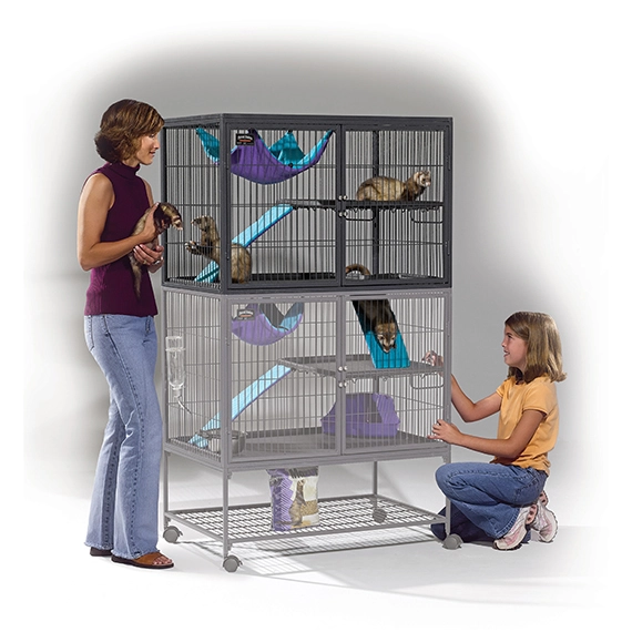 Ferret Nation tube system with a mother and her daughter playing with ferrets that are in the cage.