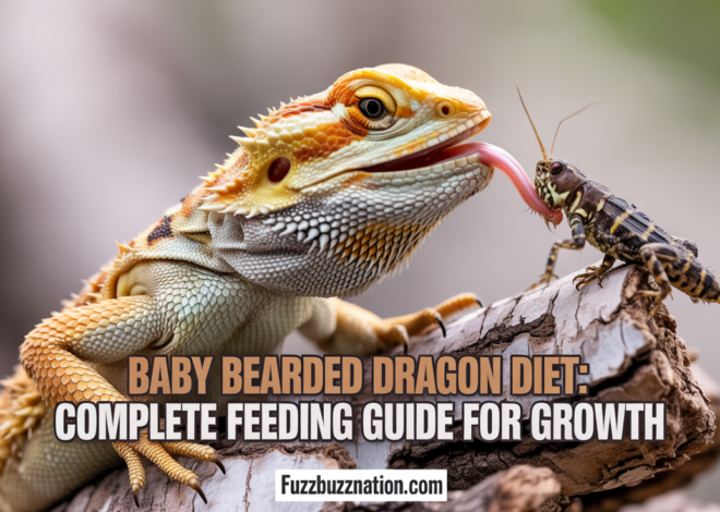 Baby Bearded Dragon Diet: Complete Feeding Guide for Growth