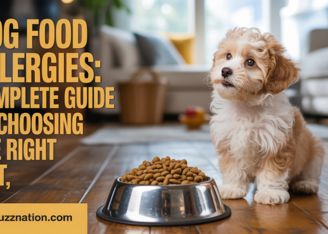 Dog Food Allergies: Complete Guide to Choosing the Right Diet