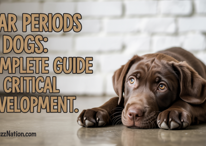 Fear Periods in Dogs: Complete Guide to Critical Development