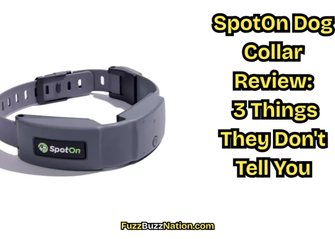 SpotOn Dog Collar Review: 3 Things They Don’t Tell You
