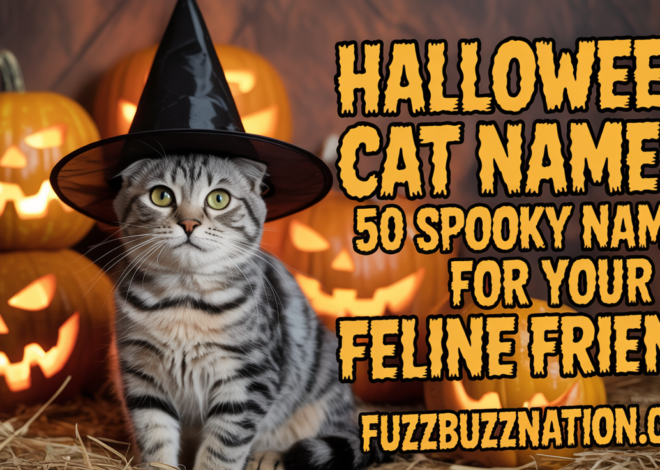 Halloween Cat Names: 50+ Spooky Names for Your Feline Friend