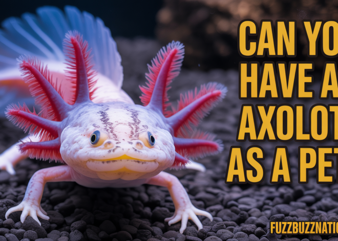 Can You Have an Axolotl as a Pet? Complete Ownership Guide