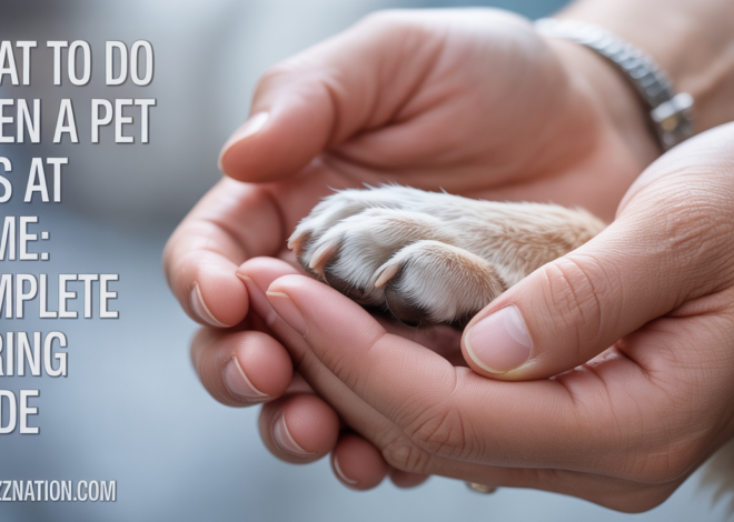What to Do When a Pet Dies at Home: Complete Caring Guide