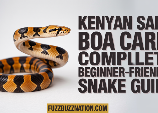 Kenyan Sand Boa Care: Complete Beginner-Friendly Snake Guide