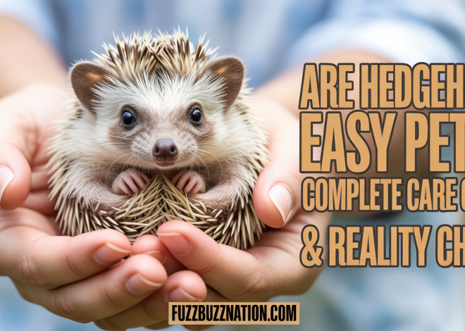 Are Hedgehogs Easy Pets? Complete Care Guide & Reality Check