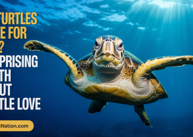 Do Turtles Mate for Life? Surprising Truth About Turtle Love