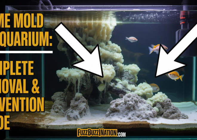 Slime Mold in Aquarium: Complete Removal & Prevention Guide