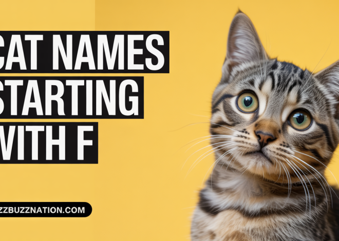 Cat Names Starting with F: 100+ Perfect Feline Names