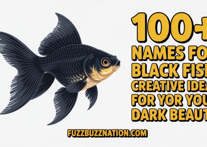 100+ Names for Black Fish: Creative Ideas for Your Dark Beauty