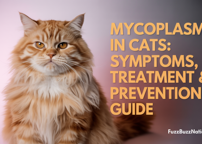 Mycoplasma in Cats: Symptoms, Treatment & Prevention Guide